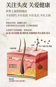 生发需先养头皮