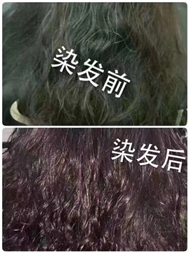 秀丝顿海娜纯植物染发特点