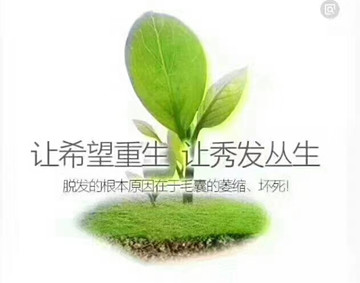 爱自然、爱自己、爱家人，就选秀丝顿