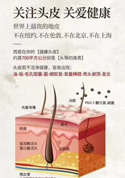 皮脂腺是毛囊的附属器官