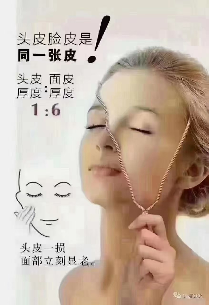 头发、头皮
