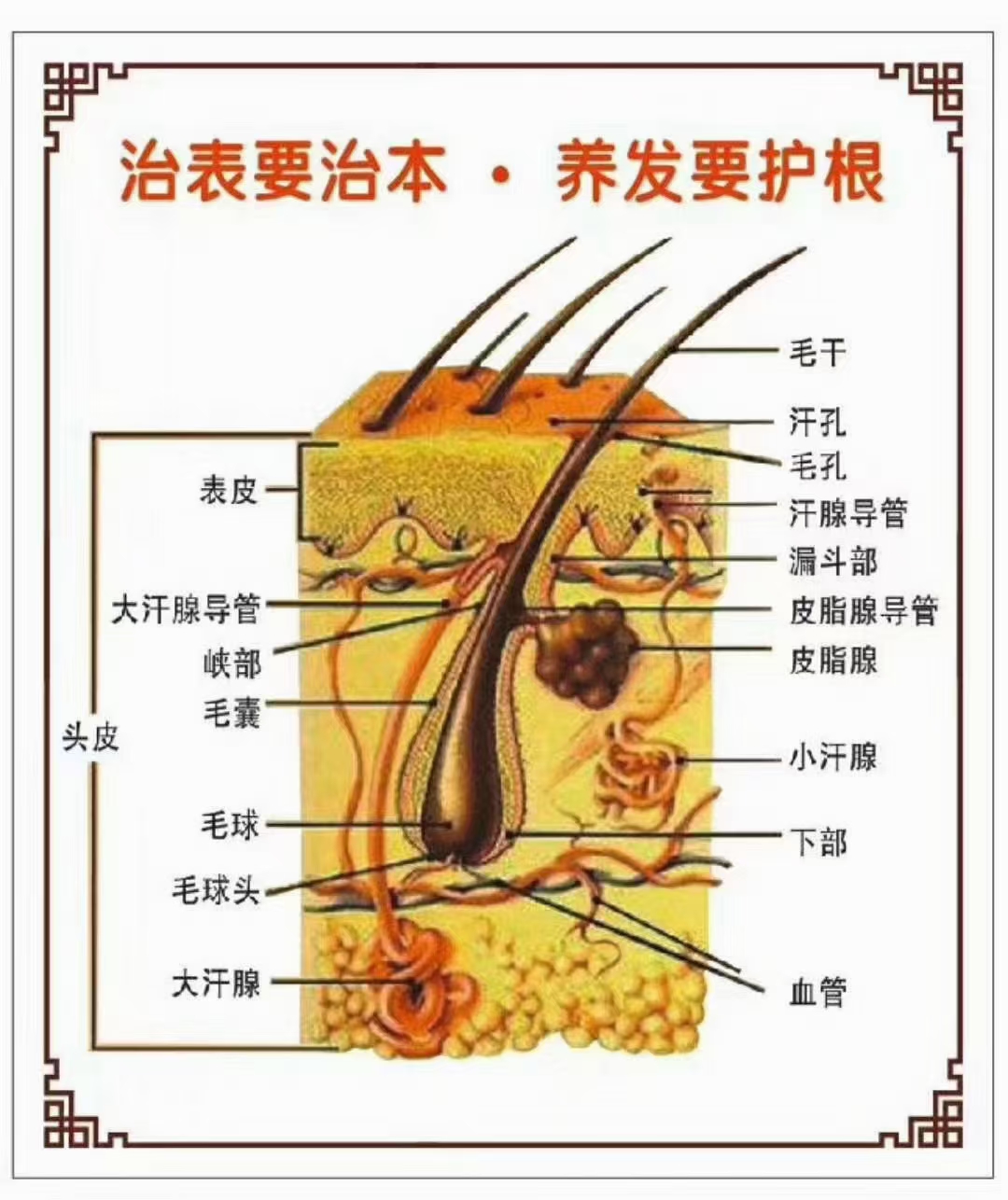 精于染，胜于养