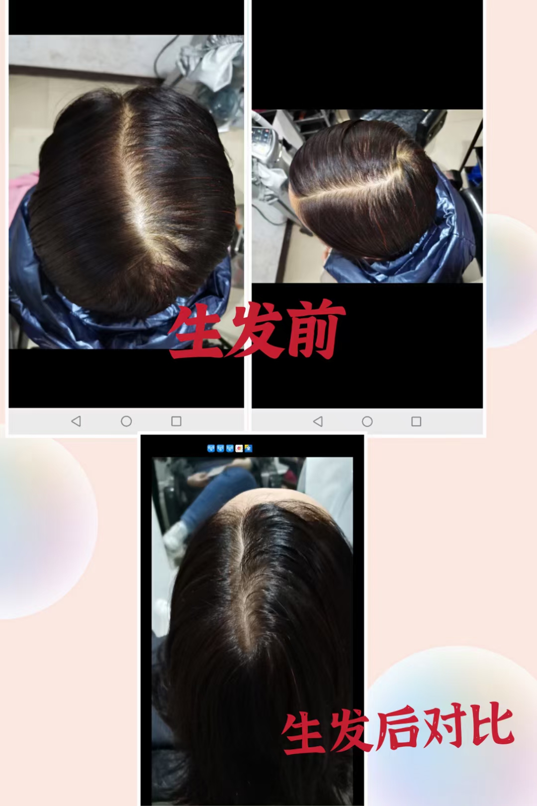 秀丝顿主营项目