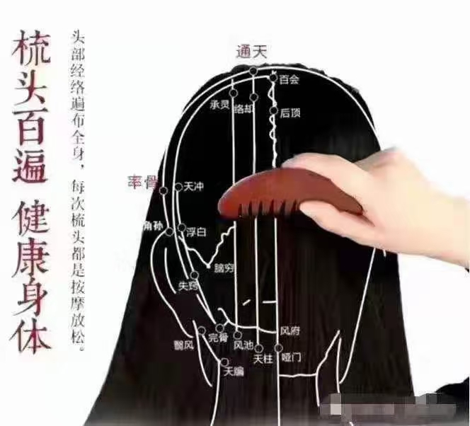 养生从头开始