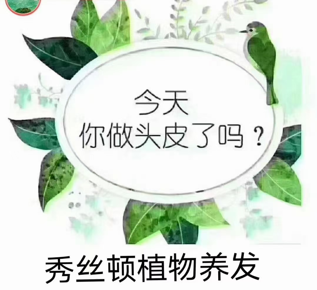 头皮护理
