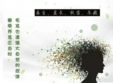 你开始保养毛囊了吗？