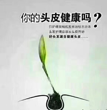 秀丝顿做头皮5不接治