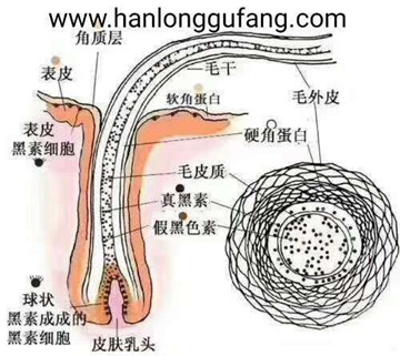 注意对头发的保护