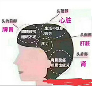 秀丝顿植物养发加盟温馨提示选择项目需谨慎