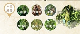秀丝顿植物养发馆加盟之哪些食物可以养护头发