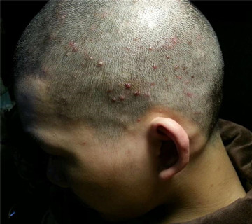 秀丝顿植物养发馆加盟之海娜花染发