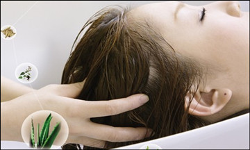 秀丝顿植物养发馆加盟之植物养发馆是加盟行业的新兴健康理念