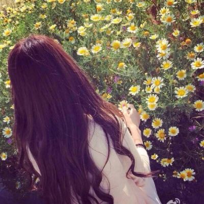 秀丝顿植物养发馆加盟之海娜粉的主要特点