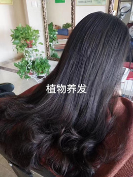 秀丝顿植物养发馆加盟之怎么才能干枯的头发得到改善