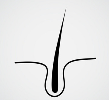 秀丝顿植物养发馆加盟之头发的主要成分是什么？