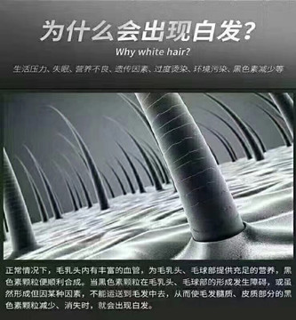 秀丝顿植物养发馆加盟之养发馆加盟行业的创举