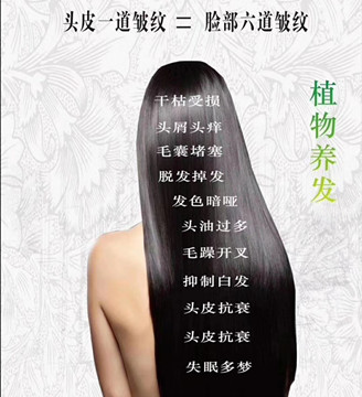 秀丝顿植物养发馆加盟之我们有多少根头发？