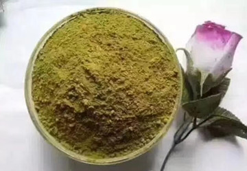 秀丝顿植物养发馆加盟之怎样才能让头发又直又亮