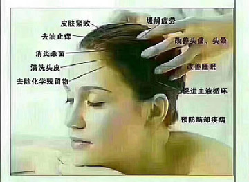 秀丝顿植物养发馆加盟之头皮按摩